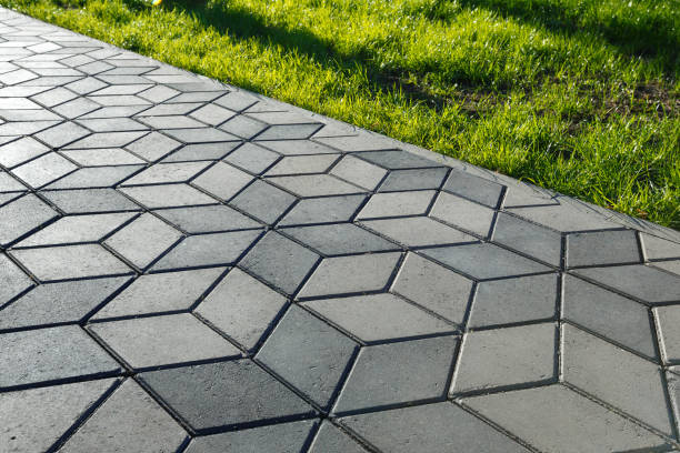 Best Custom Driveway Pavers  in Cutler Bay, FL