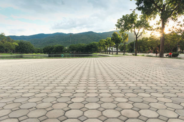 Best Driveway Paver Repair  in Cutler Bay, FL